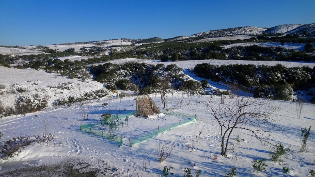 Daniil'S Luxury Villa And Spa Agios Antonios  Bagian luar foto